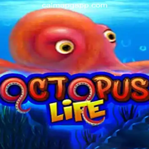 Explore the Underwater Adventure of OctopusLife